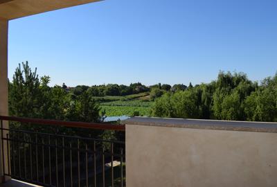 Conac lac Snagov cu ponton - 25