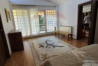 Vila deosebita de vanzare in Chitila, la 150 m de padure, in apropiere - 27