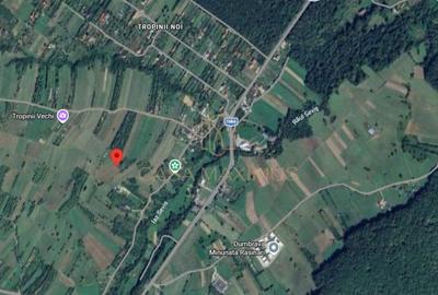 Teren Construcții intravilan de 6600 mp, în Rășinari - 2