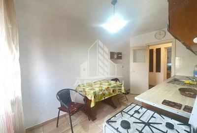 Apartament 4 camere, zona Centrala - Piata Mica, Lac - 15