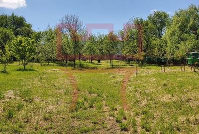Casa nou construita Zimbor Chendremal cu 6.800mp teren - 8