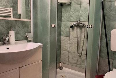 Inchiriere garsoniera Berceni - Sudului - 3