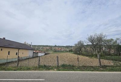 Teren de 2200 mp, în Petrani - 3
