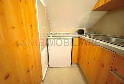 Studio - Laminorului - Bloc Nou - Mansarda - Bucurestii Noi - 11