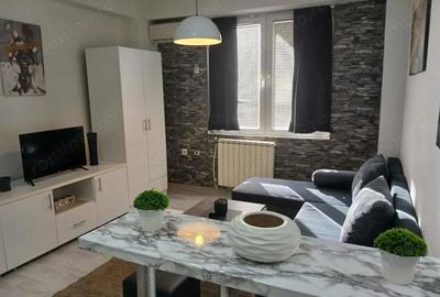 Garsoniera de inchiriat in zona Raul Doamnei - 1