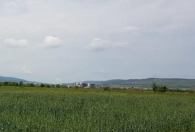 Teren, aproape de Baza Sportiva Gheorghe, de inchiriat - 2