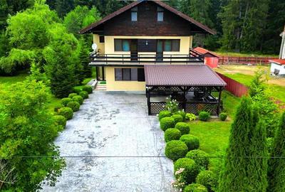 FILM!Resedinta cu farmec montan, domeniu de 1.700 mp,cadru select,Timisul de Sus - 19