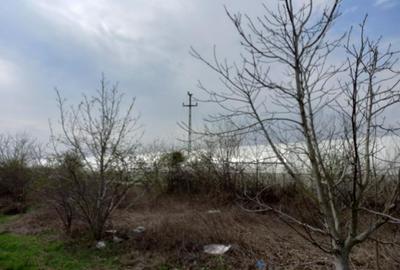 PROPRIETAR ,teren dezmembrabil in Varlaam , Adunatii Copaceni , Giurgiu - 5