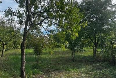 Reco Teren intravilan in Mizies - 4