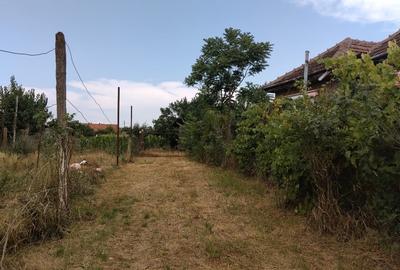 Casă individuală cu 3 camere cu Teren 2110 Mp în Domănești - 3