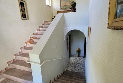 Casă cu Teren 1634 Mp în Gurișoara - 8