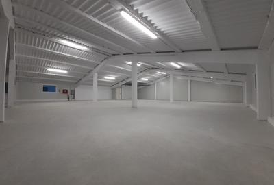 Hala de inchiriat suprafata 300 mp Gilau - 2