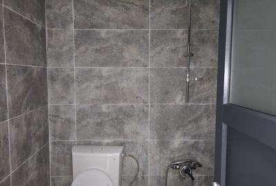 Spațiu comercial, de 125 mp, în Central - 7