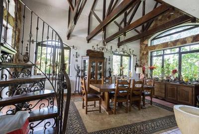 Casă cu 6 camere cu Teren 4000 Mp în Snagov - 4