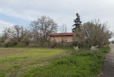 Teren de 700 mp, în Sinești - 5