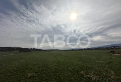 Teren 23.486 mp, deschidere 80 m, ideal comercial/industrial Teren 23.486 mp, deschidere 80 m, ideal comercial/industrial - 3