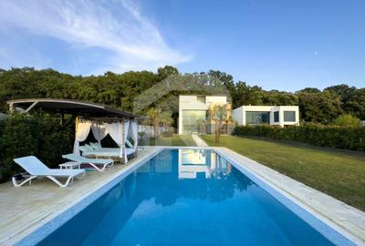 Pe Malul Snagovului, Unde Luxul Devine Cotidian - 42