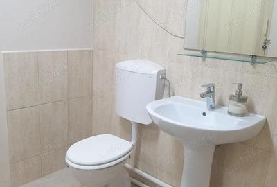 Spatiu de birou, demisol, vila, Parcul Carol Unirii, cu gradina - 5