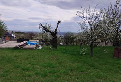 Teren de 1000 mp, în Dealuri Oradea