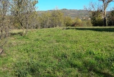 Teren intravilan în sat Făget, com. Drajna, Prahova - 3