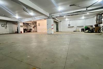 Spațiu comercial, de 350 mp, în Lujerului - 11