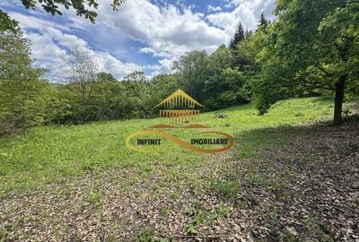 Teren intravilan | Posibilitate parcelare | Luncani-de vanzare - 8