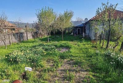 Casă cu Teren 5000 Mp în Unguriu - 2