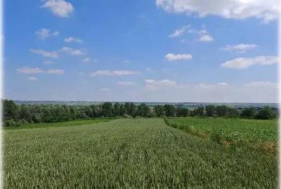 Teren extravilan Bosanci, ID: R2649417 - 8