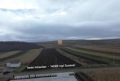Teren Intravilan 14066 mp 1,4 hectare Suceava Mihoveni - 5