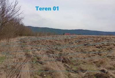 Spațiu comercial, în Fundătura - 2