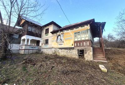 Casă cu 4 camere cu Teren 1748 Mp în Cernișoara - 13