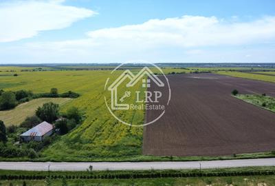 Teren Construcții intravilan de 15500 mp, în Creața - 7