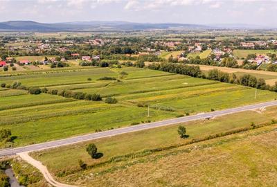 Teren extravilan Lunca Calnicului langa E574 - 7
