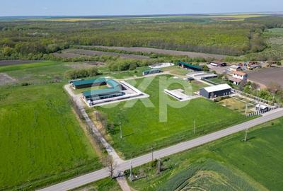 Teren Construcții intravilan de 105000 mp, în Crânguri - 16
