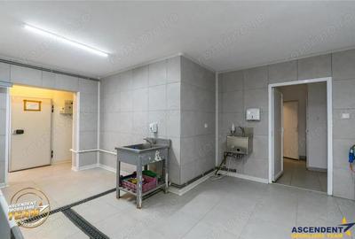 FILM! Ferma de iepuri,Malnas,Covasna: domeniu industrial comercial,asset UE - 13