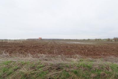 Teren agricol extravilan de 4000 mp, în Corbeanca - 7