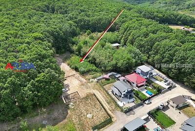 AZURA Imobiliare - Vanzare teren Hintesti, langa padure, 300m din DN - 4