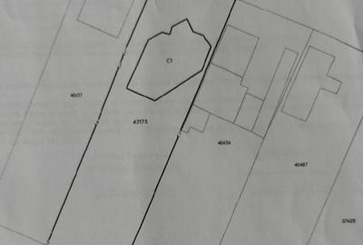 Casa in spatele Primariei Adunatii Copaceni - Giurgiu - 14