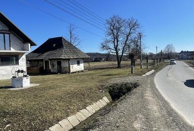 Teren de 60000 mp, în Exterior Vest - 4