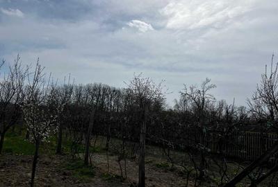 Casă cu 4 camere în Central - 8