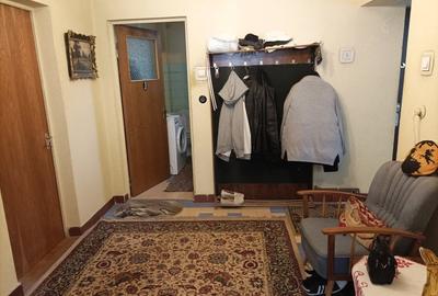 Apatament 4 camere in vila zona Aurel Vlaicu - 16