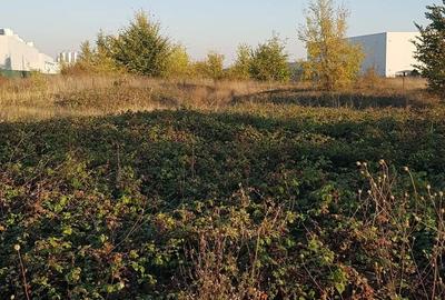 Teren de 9400 mp, în Dragomirești-Deal - 3