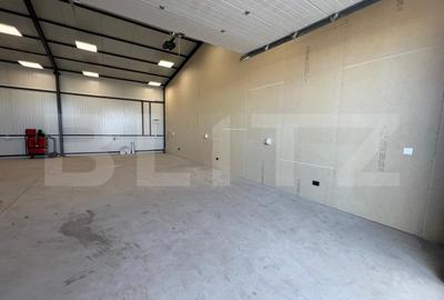 Hala 290,6 mp si 1263 mp teren, zona Carcea - 2