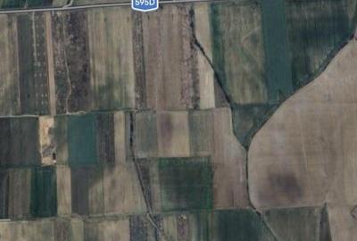 Teren de 6300 mp, în Moșnița Nouă