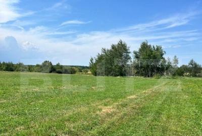 Teren de 5200 mp, în Rădăuți