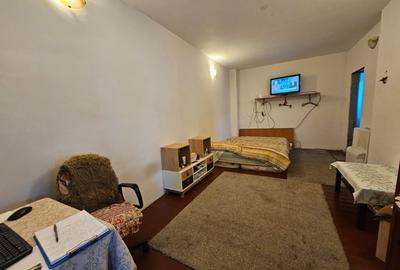 Casă individuală cu 2 camere cu Canalizare în Bucureștii Noi - 4