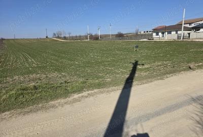 Teren de 9900 mp, în Malu Mare - 2