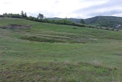 Teren extravilan 10000 mp, com Panatau - 4