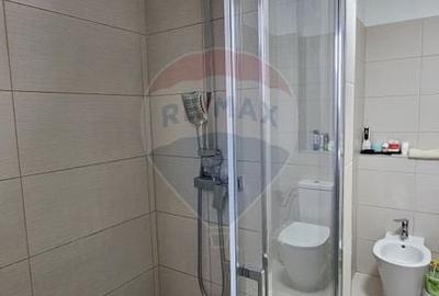 Apartament cu 3 camere decomandat, mobilat în Burdujeni - 17