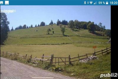 Teren în Fundata - 5